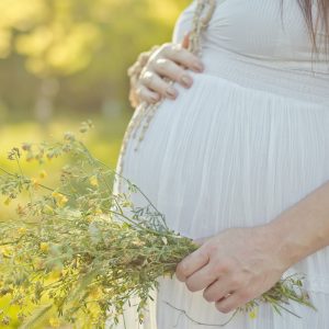 pregnant woman touching stomach close up. Autumn leaves background